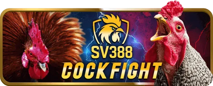 Nâng cao trải nghiệm cá cược j88vip2 casino